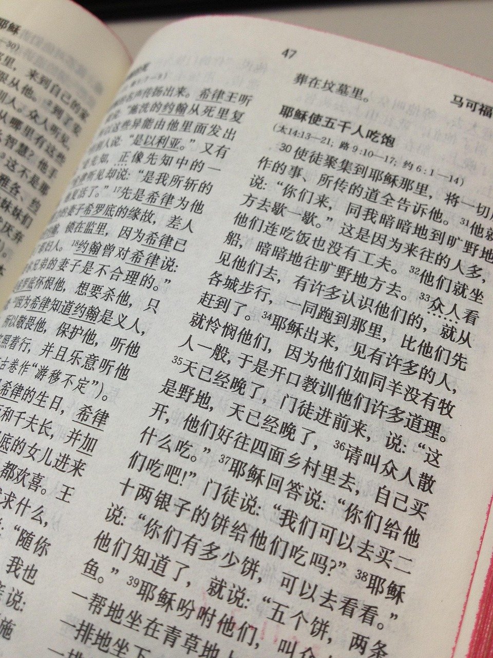 lawn-01 chinese, bible, chinese people, chinese, chinese, chinese, chinese, chinese, bible, chinese people