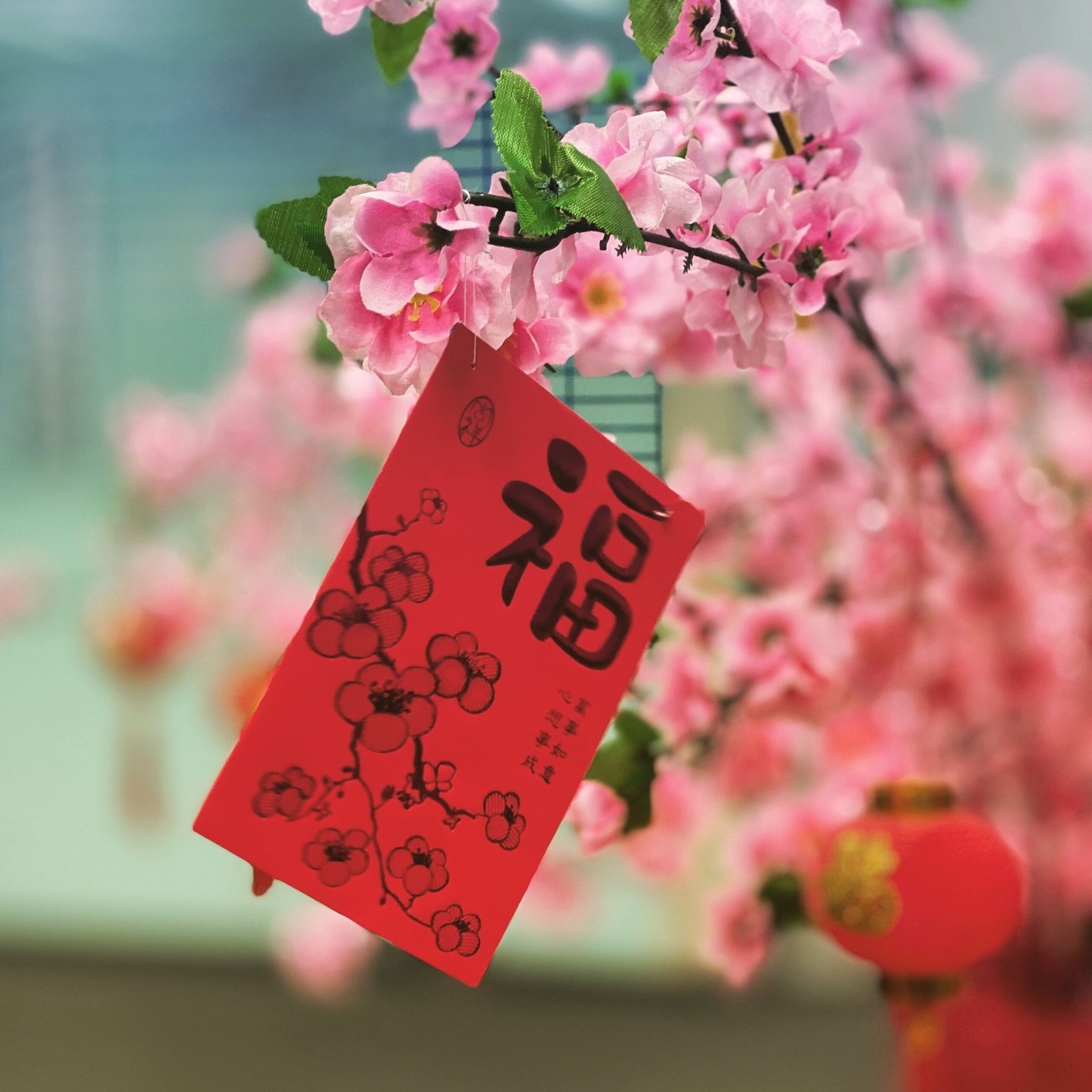 Close-up of a red envelope hanging with pink cherry blossoms for Lunar New Year decor.